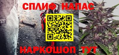 Альфа ПВП Можга