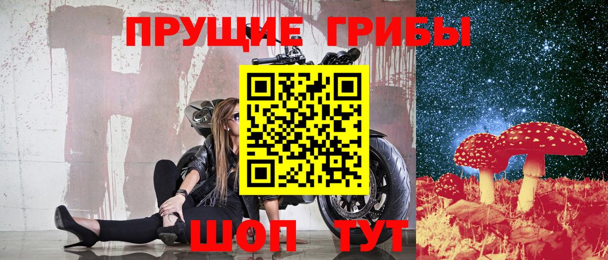 Галлюциногенные грибы MAGIC MUSHROOMS Чернушка