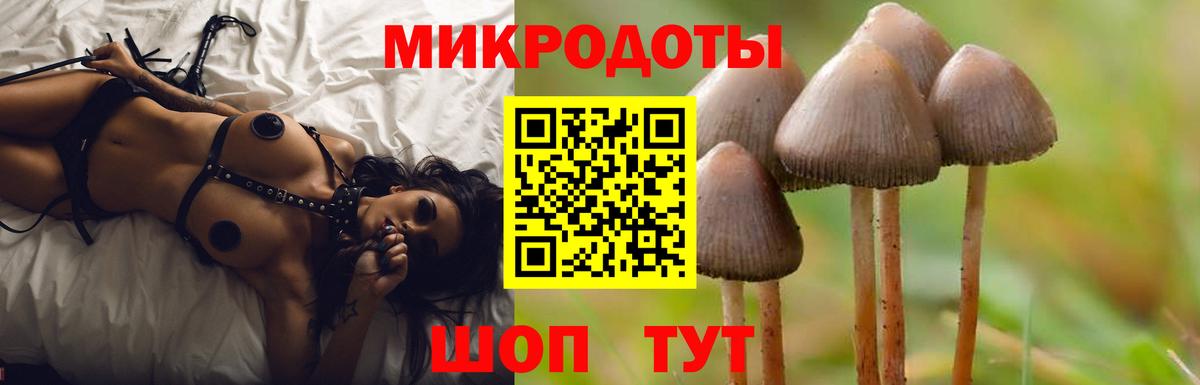 Чернушка  Псилоцибиновые грибы прущие грибы  Вход с VPN  Галлюциногенные грибы мухоморы 